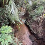 Tranquility Hideaway 40