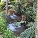 Tranquility Hideaway 41