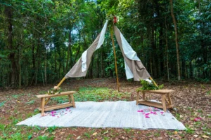 76565-385968-kkt0Ql4wtegPcX8-S27-1Yv3yDwzlF1LrbLZ9es7IOM-68104d8b651dd