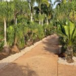 Tranquility Hideaway 39